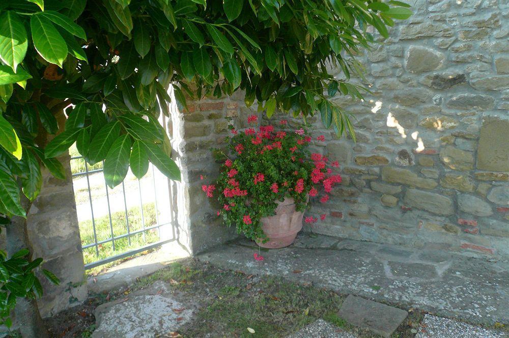 Il Gelso Apartment Cortona Luaran gambar
